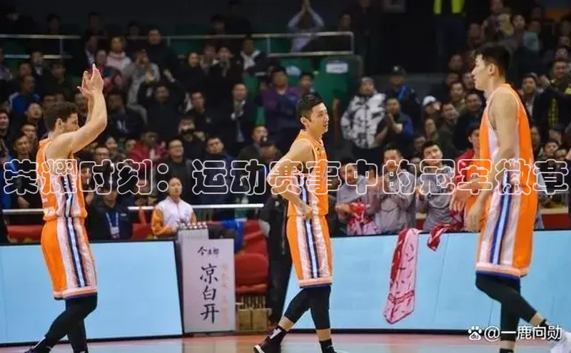 3377体育网站入口下载