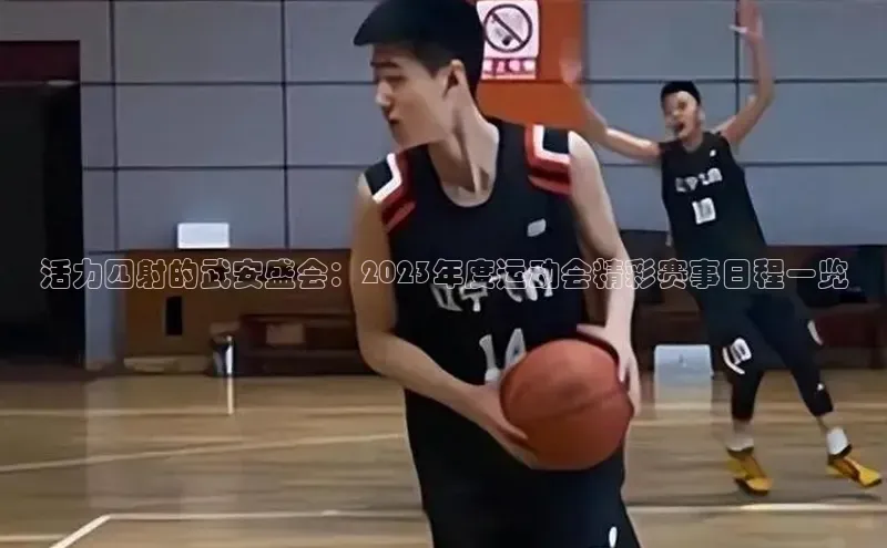 3377体育app登录入口