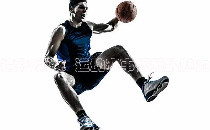 3377体育app登录入口手机版