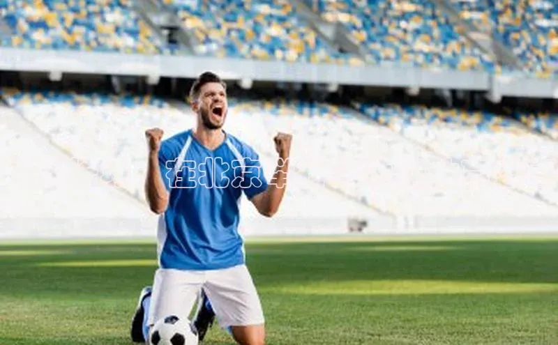 3377体育app登录入口手机版