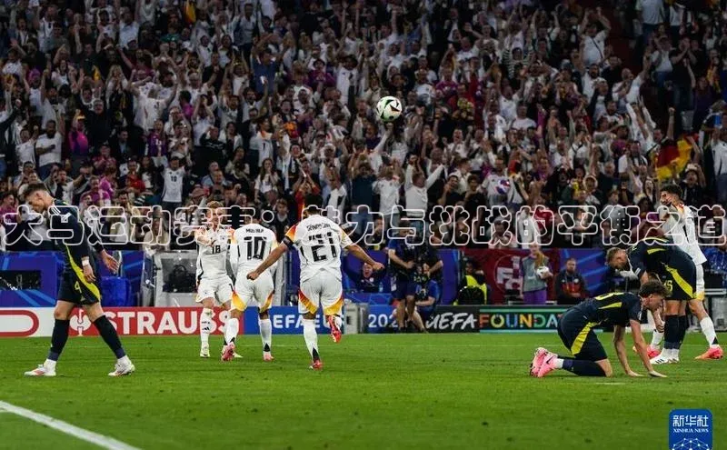 3377体育官方在线登录入口