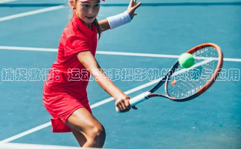 3377体育app登录入口