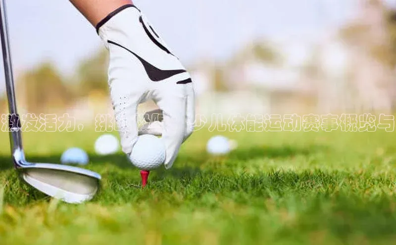 3377体育官网入口网页版