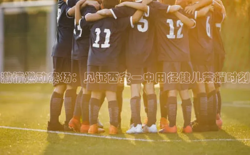 3377体育app官方网站