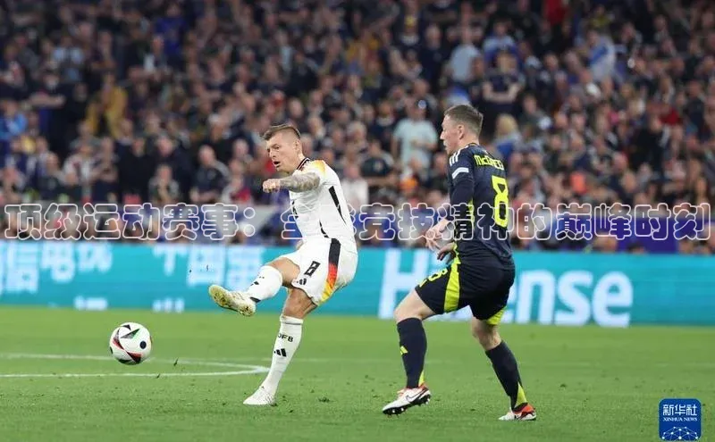 3377体育官网入口网页版