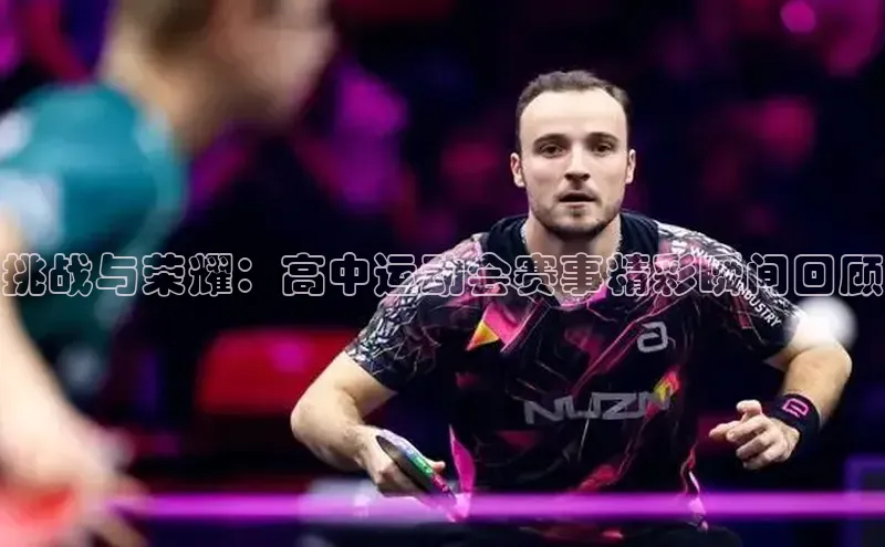 3377体育app登录入口手机版